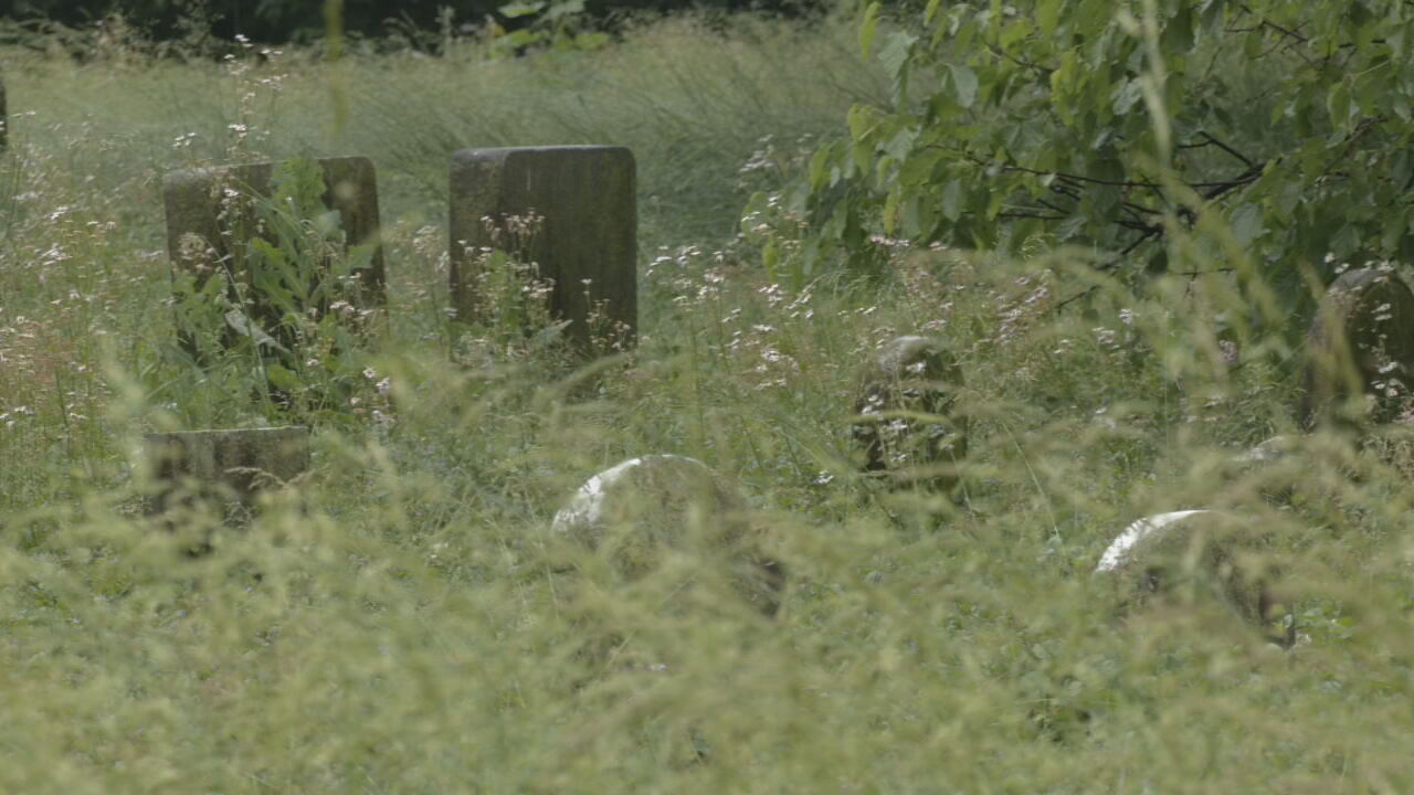 Schardein Cemetery